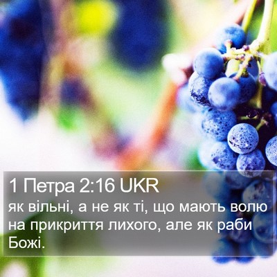 1 Петра 2:16 UKR Bible Verse Image