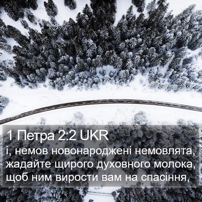 1 Петра 2:2 UKR Bible Verse Image