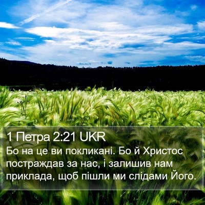 1 Петра 2:21 UKR Bible Verse Image