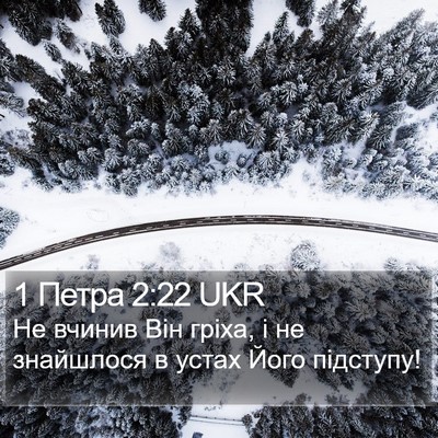 1 Петра 2:22 UKR Bible Verse Image