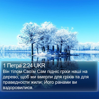 1 Петра 2:24 UKR Bible Verse Image