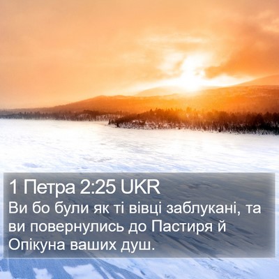 1 Петра 2:25 UKR Bible Verse Image