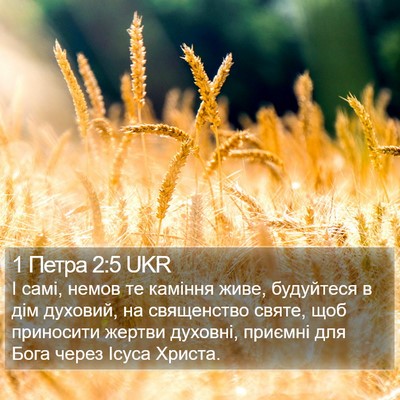 1 Петра 2:5 UKR Bible Verse Image