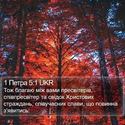 1 Петра 5:1 UKR Bible Verse Image