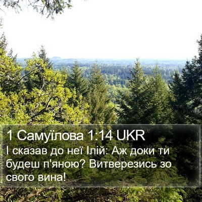 1 Самуїлова 1:14 UKR Bible Verse Image