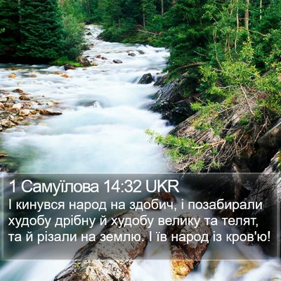 1 Самуїлова 14:32 UKR Bible Verse Image