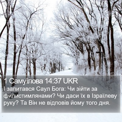 1 Самуїлова 14:37 UKR Bible Verse Image