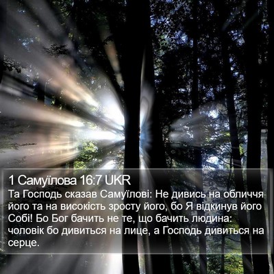 1 Самуїлова 16:7 UKR Bible Verse Image