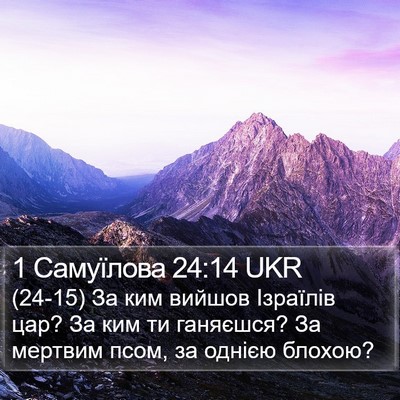 1 Самуїлова 24:14 UKR Bible Verse Image