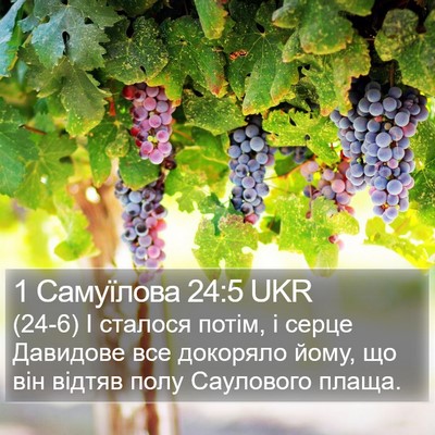 1 Самуїлова 24:5 UKR Bible Verse Image