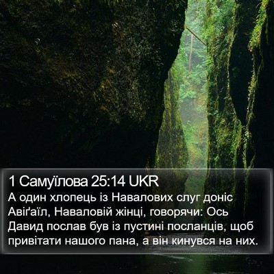 1 Самуїлова 25:14 UKR Bible Verse Image