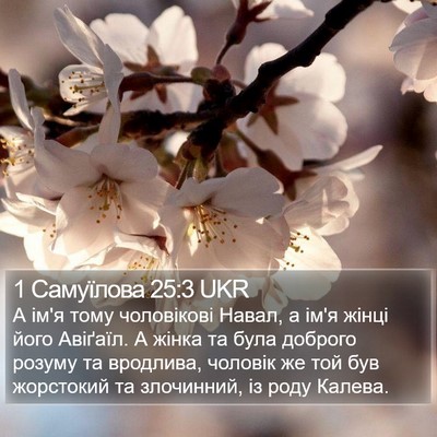 1 Самуїлова 25:3 UKR Bible Verse Image