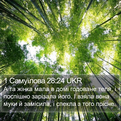 1 Самуїлова 28:24 UKR Bible Verse Image
