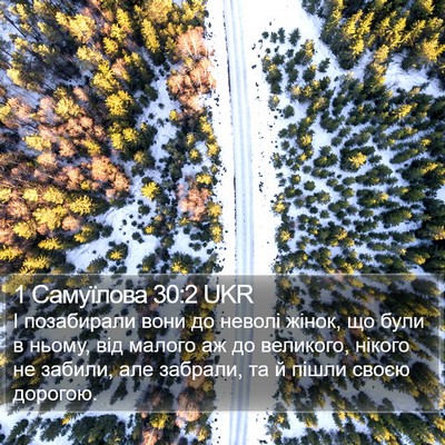 1 Самуїлова 30:2 UKR Bible Verse Image