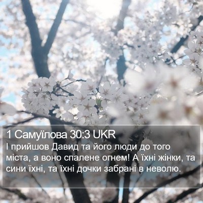 1 Самуїлова 30:3 UKR Bible Verse Image