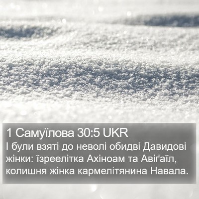 1 Самуїлова 30:5 UKR Bible Verse Image