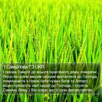 1 Самуїлова 7:3 UKR Bible Verse Image