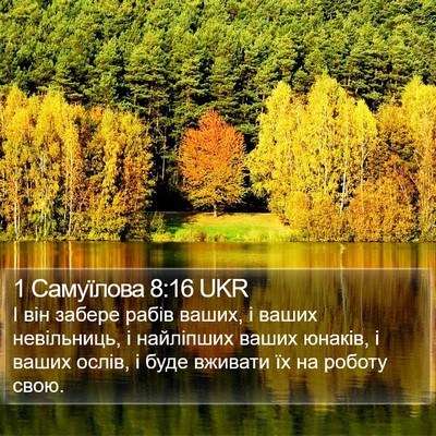 1 Самуїлова 8:16 UKR Bible Verse Image
