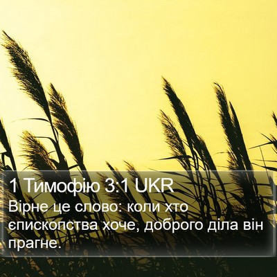 1 Тимофію 3:1 UKR Bible Verse Image
