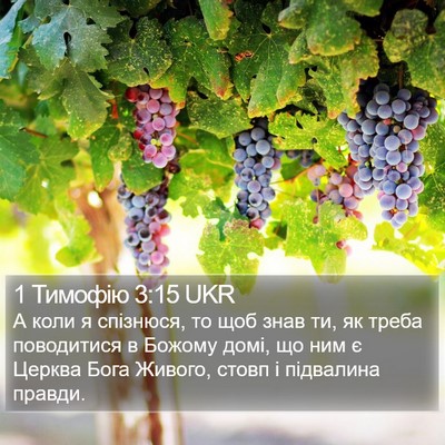 1 Тимофію 3:15 UKR Bible Verse Image