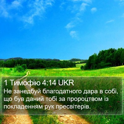 1 Тимофію 4:14 UKR Bible Verse Image