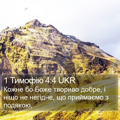 1 Тимофію 4:4 UKR Bible Verse Image