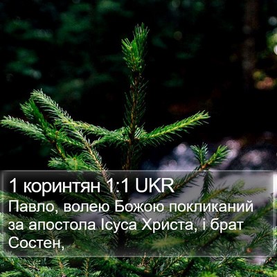 1 коринтян 1:1 UKR Bible Verse Image