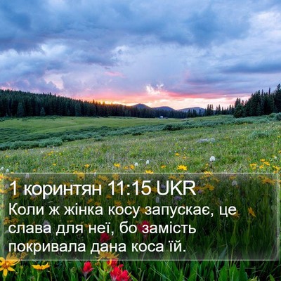 1 коринтян 11:15 UKR Bible Verse Image