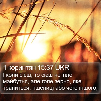 1 коринтян 15:37 UKR Bible Verse Image