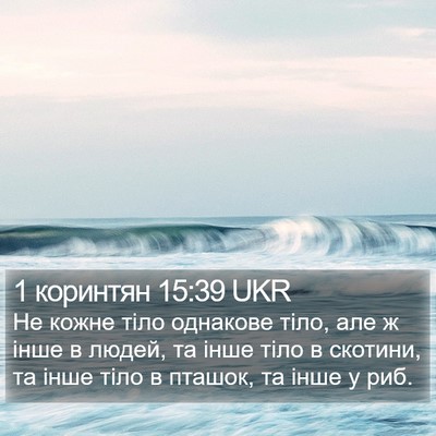 1 коринтян 15:39 UKR Bible Verse Image