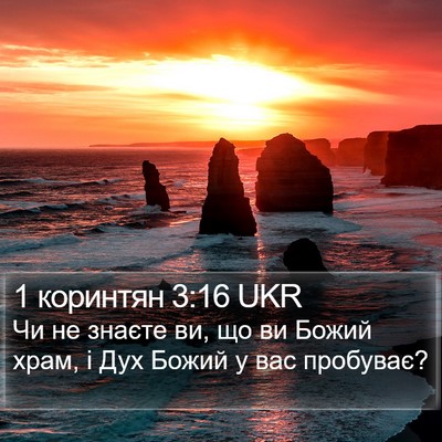 1 коринтян 3:16 UKR Bible Verse Image