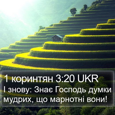 1 коринтян 3:20 UKR Bible Verse Image