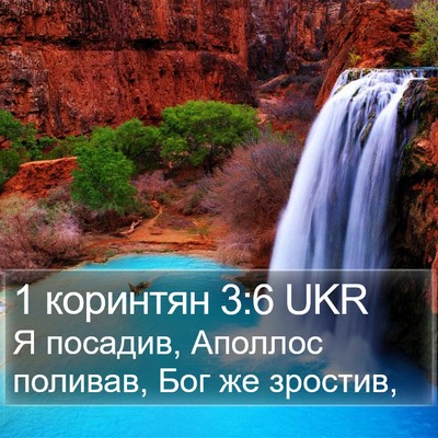 1 коринтян 3:6 UKR Bible Verse Image
