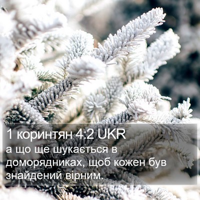 1 коринтян 4:2 UKR Bible Verse Image