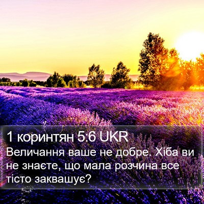 1 коринтян 5:6 UKR Bible Verse Image