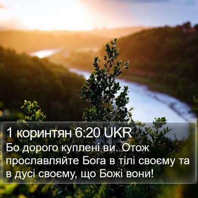 1 коринтян 6:20 UKR Bible Verse Image