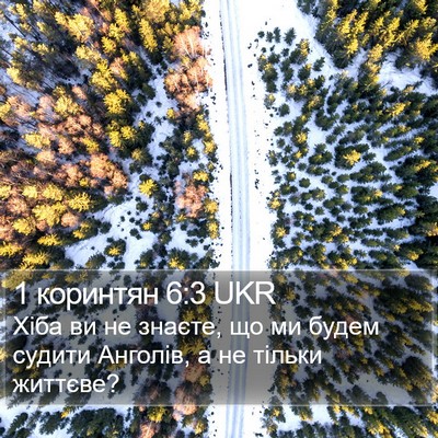1 коринтян 6:3 UKR Bible Verse Image