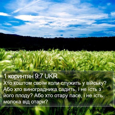 1 коринтян 9:7 UKR Bible Verse Image