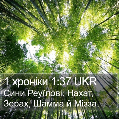1 хроніки 1:37 UKR Bible Verse Image