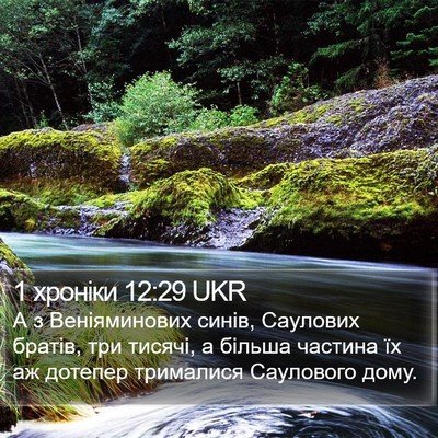 1 хроніки 12:29 UKR Bible Verse Image
