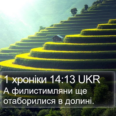 1 хроніки 14:13 UKR Bible Verse Image