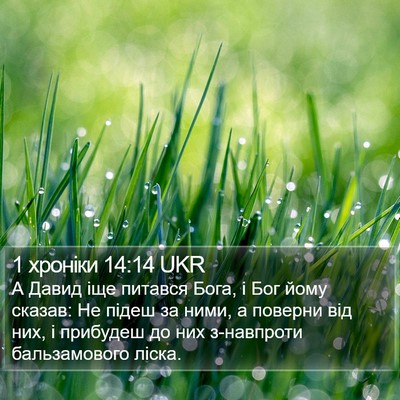 1 хроніки 14:14 UKR Bible Verse Image