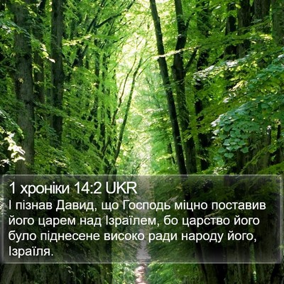 1 хроніки 14:2 UKR Bible Verse Image