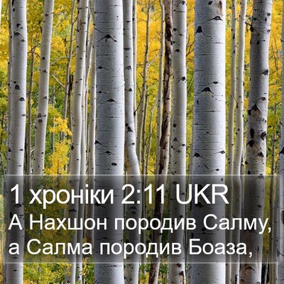 1 хроніки 2:11 UKR Bible Verse Image
