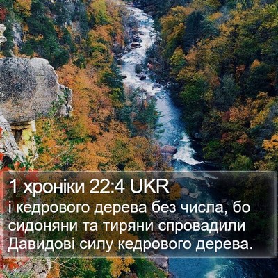 1 хроніки 22:4 UKR Bible Verse Image