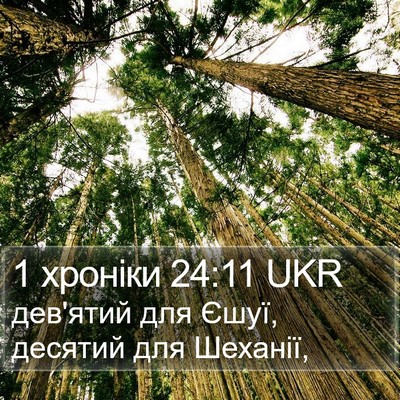 1 хроніки 24:11 UKR Bible Verse Image