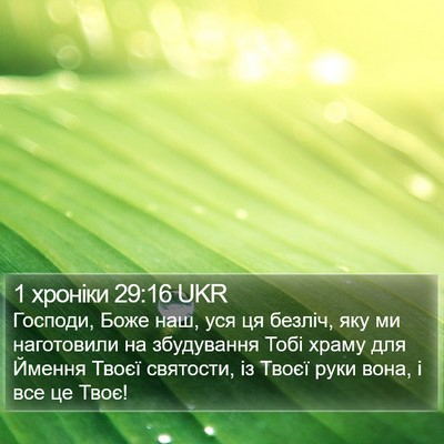 1 хроніки 29:16 UKR Bible Verse Image