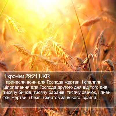 1 хроніки 29:21 UKR Bible Verse Image