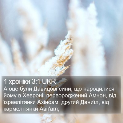 1 хроніки 3:1 UKR Bible Verse Image