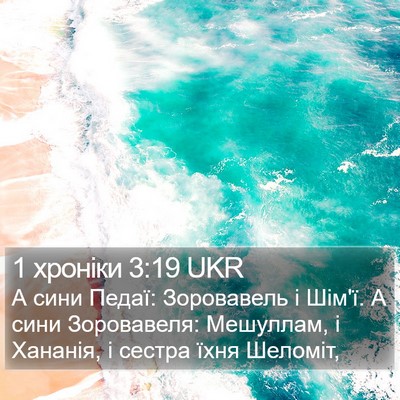 1 хроніки 3:19 UKR Bible Verse Image